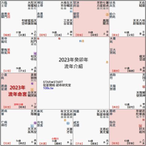 2023流年祿存|2023年，癸卯年，紫微斗數流年運勢分析